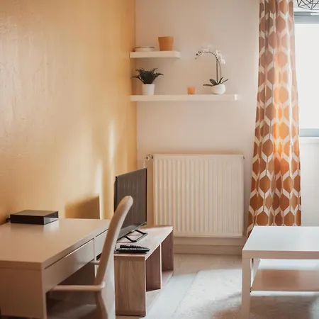 Bel Appartement Au Calme Avec Parking Lyon Exterior photo